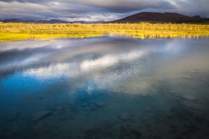 AK-Noatak-BrooksRange-Aug10-26-472