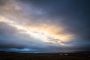 AK-Noatak-BrooksRange-Aug10-26-564