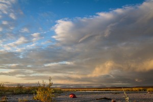 AK-Noatak-BrooksRange-Aug10-26-777